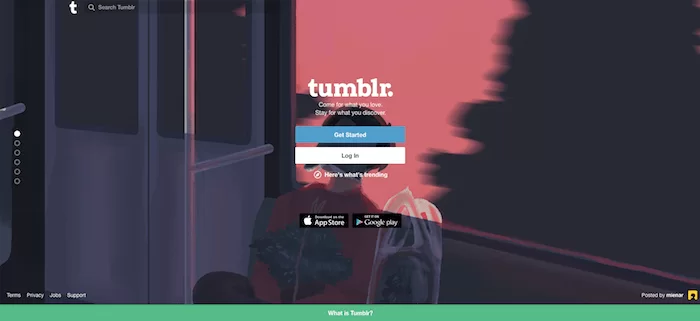 Witryna Tumblra