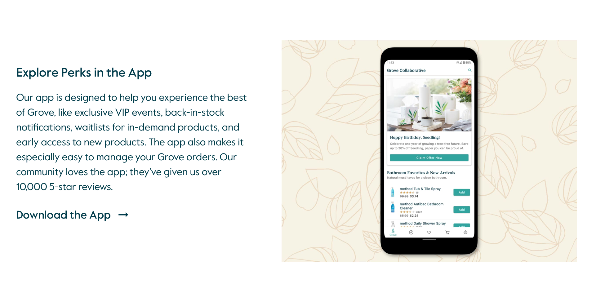 пример приложения роща