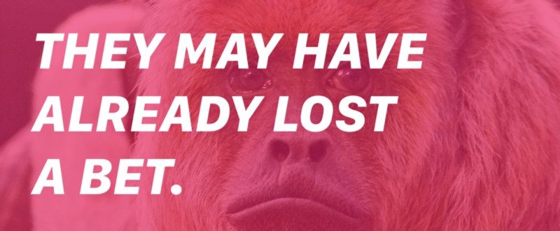 hanno perso la scommessa