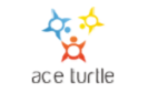Ace Turtle-Indian Startup Finansowanie Startup Finansowanie