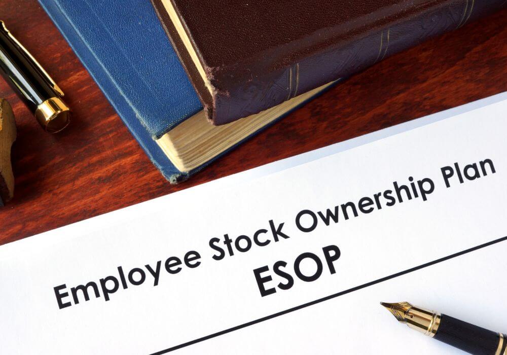 flipkart-esop-riacquisto-e-commerce