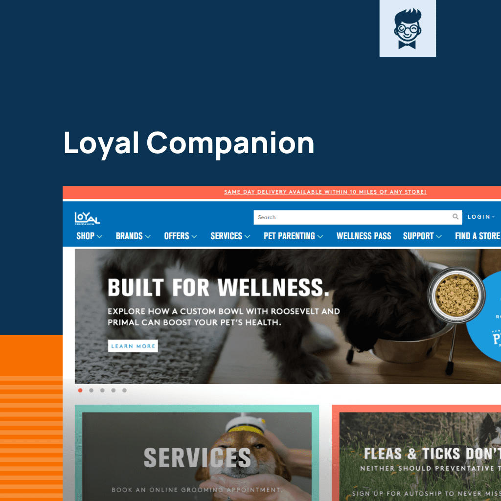 Shopify la tienda de mascotas