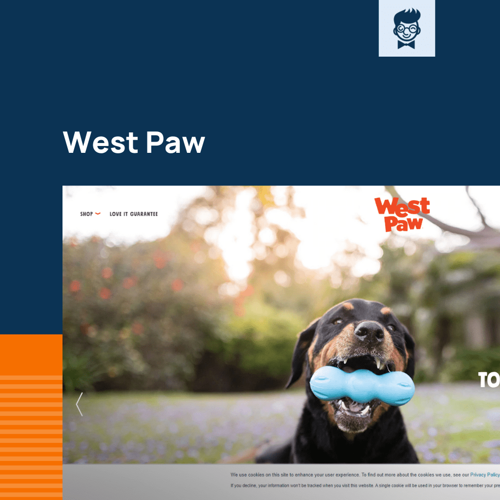 Shopify tiendas locales de mascotas