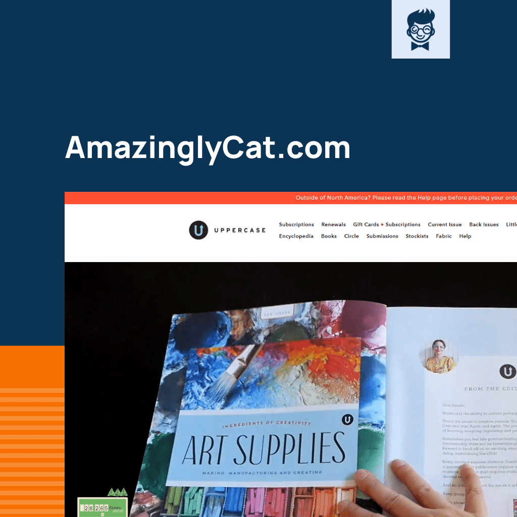 Shopify متجر الحيوانات الأليفة القط