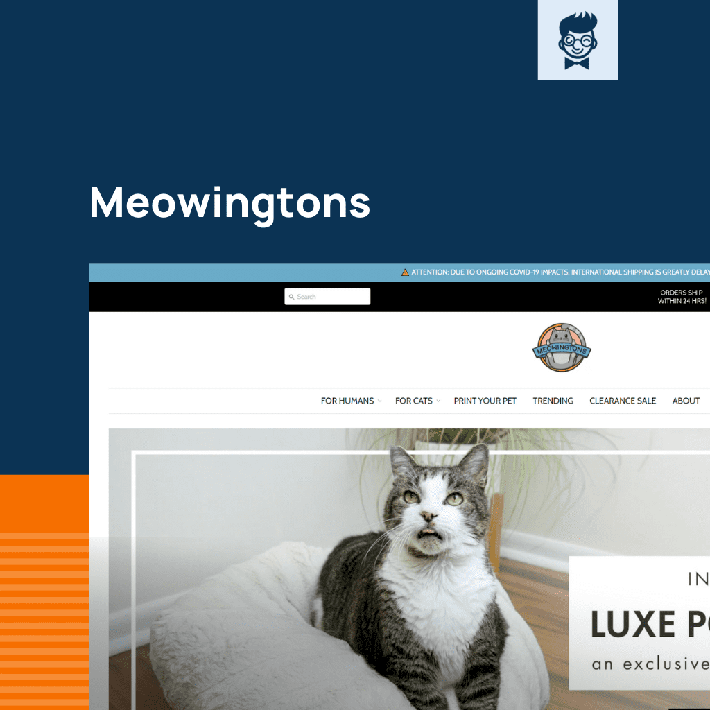 Shopify متاجر القطط