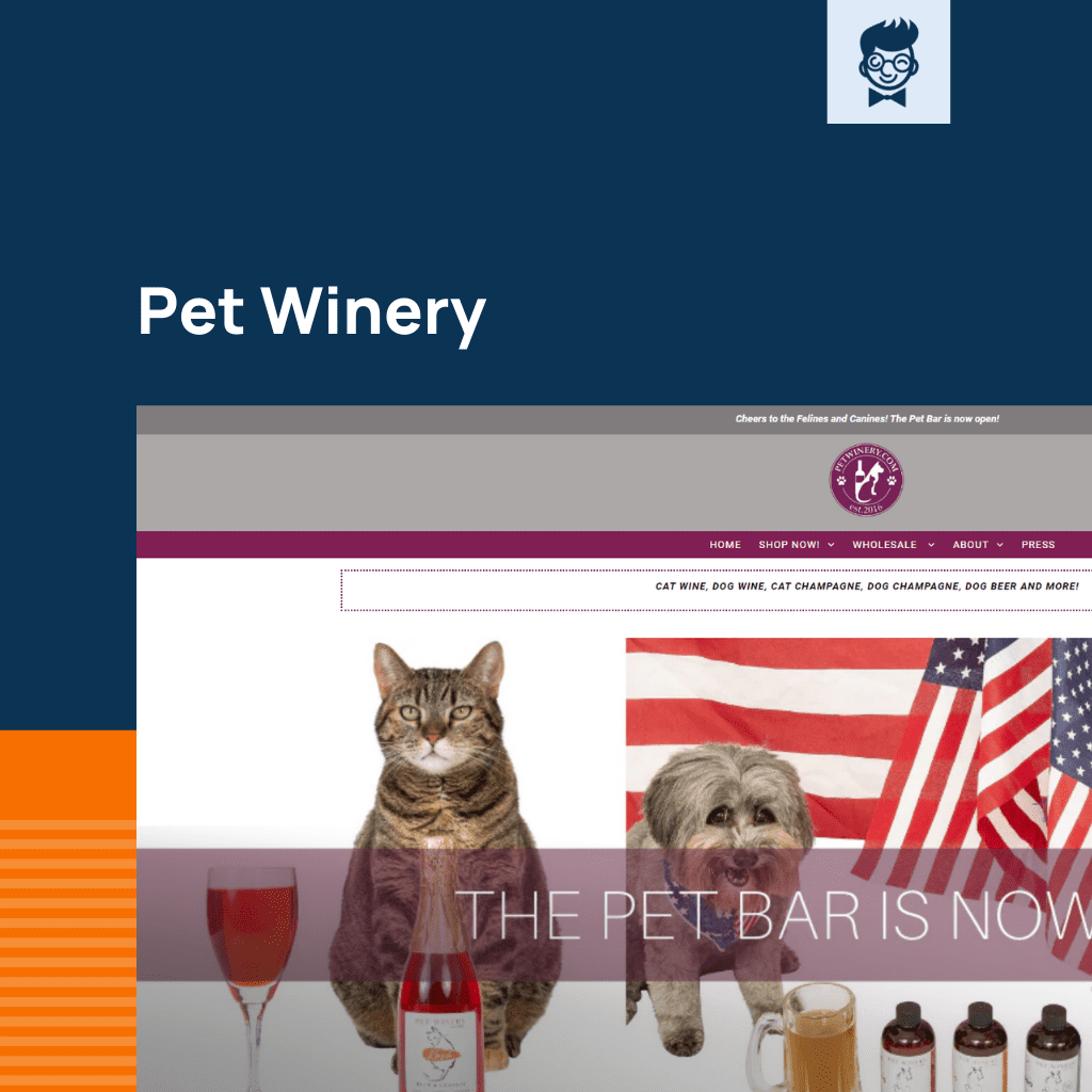 Shopify متجر الحيوانات الأليفة القط