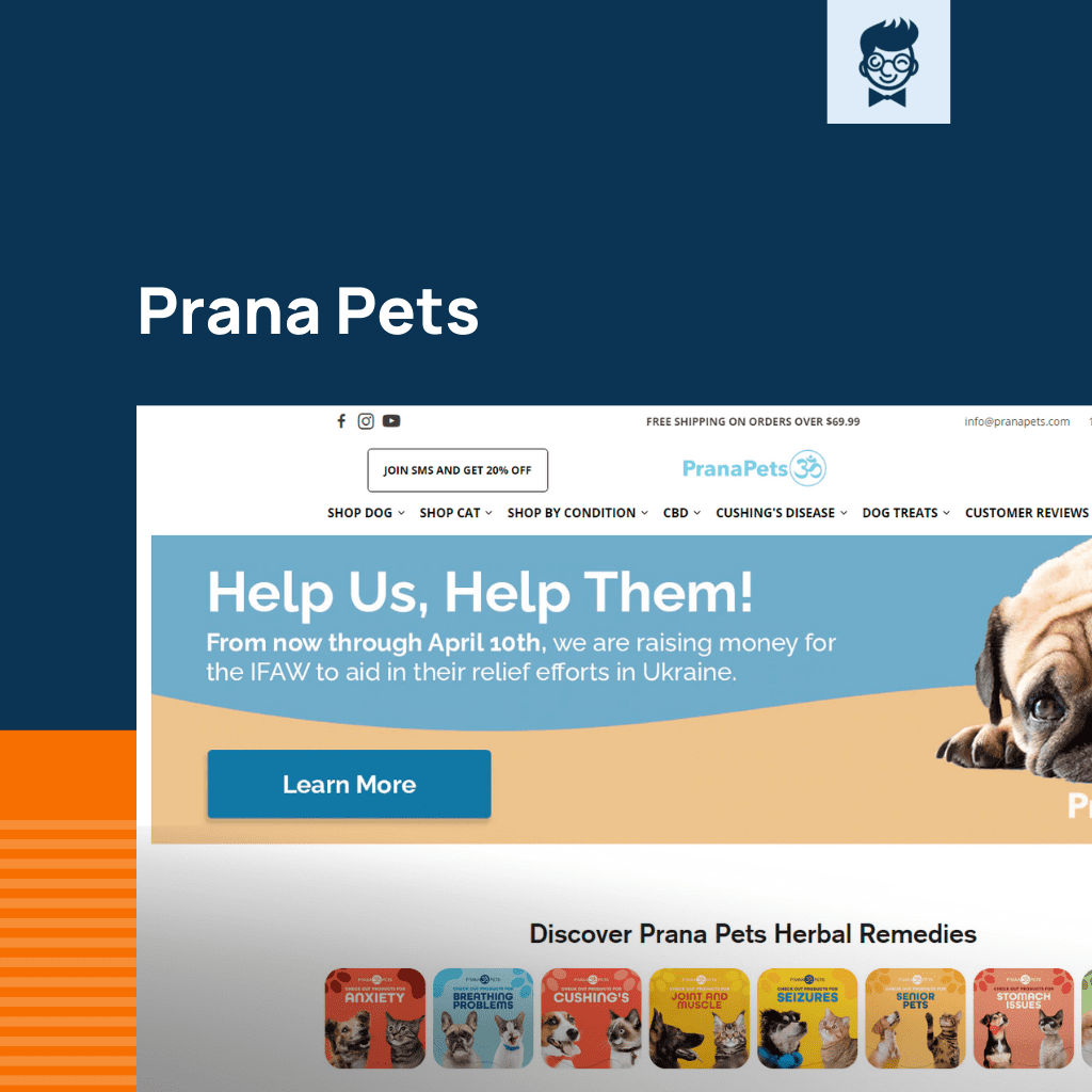 Shopify متجر القطط للحيوانات الاليفة