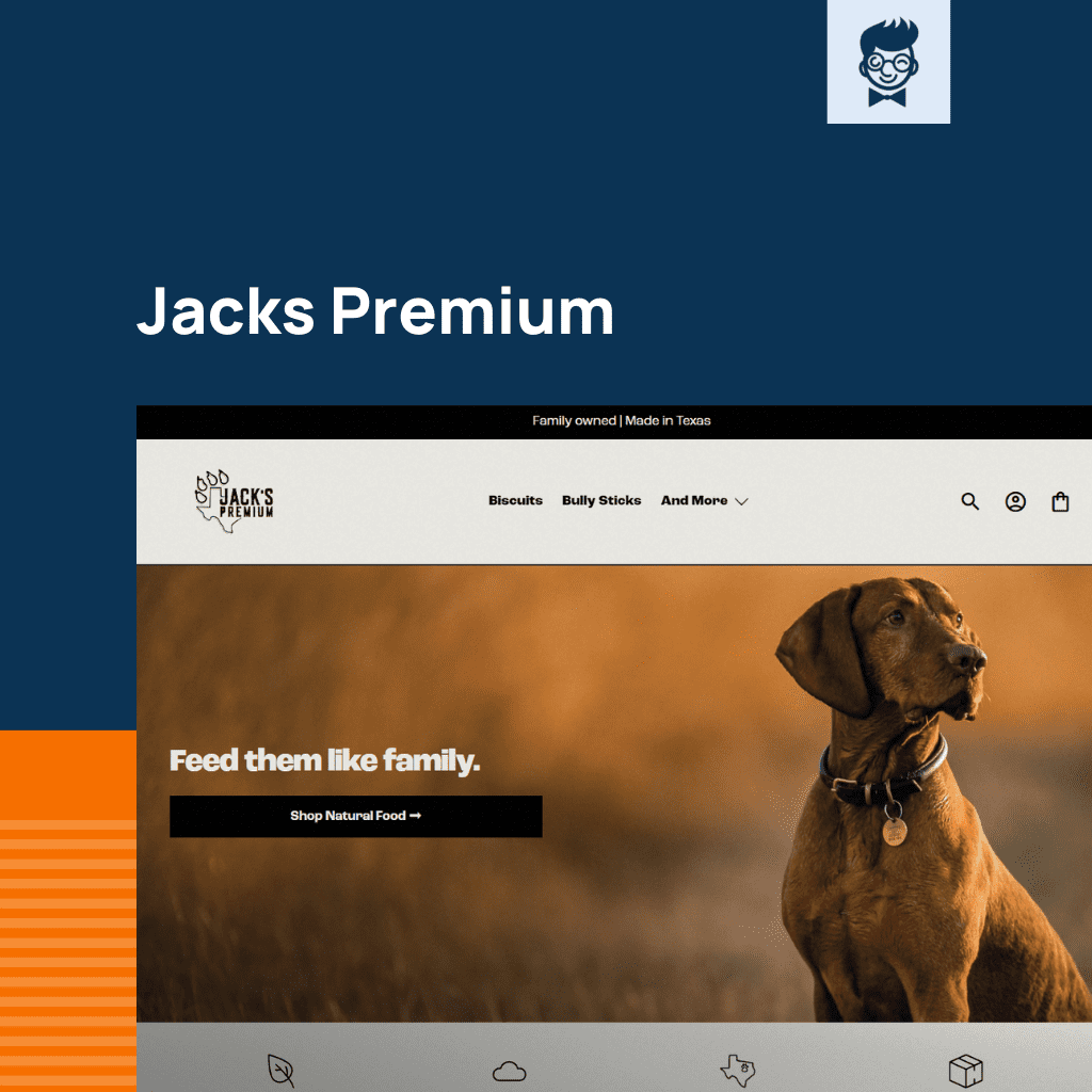 Shopify متجر مستلزمات القطط