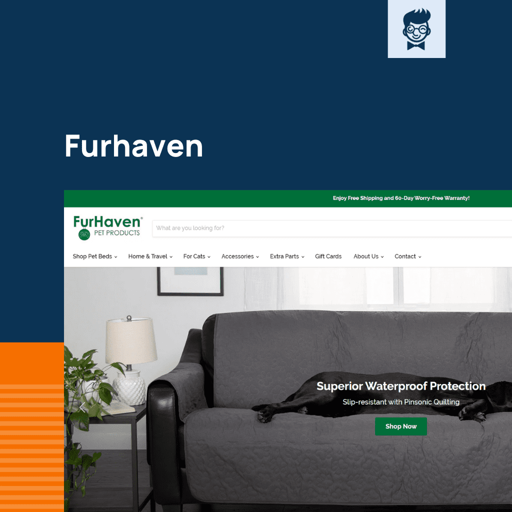 Shopify متجر مستلزمات القطط