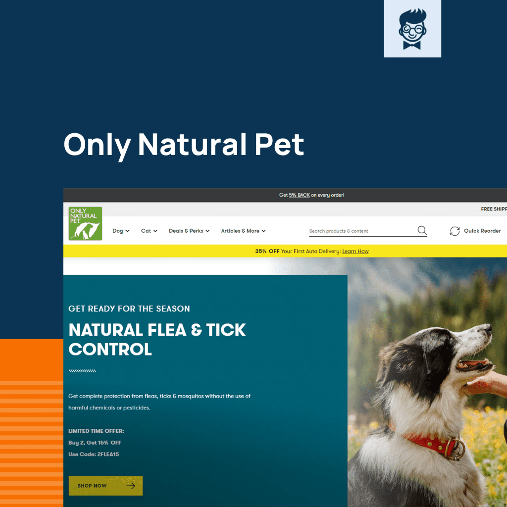 Shopify متجر القطط