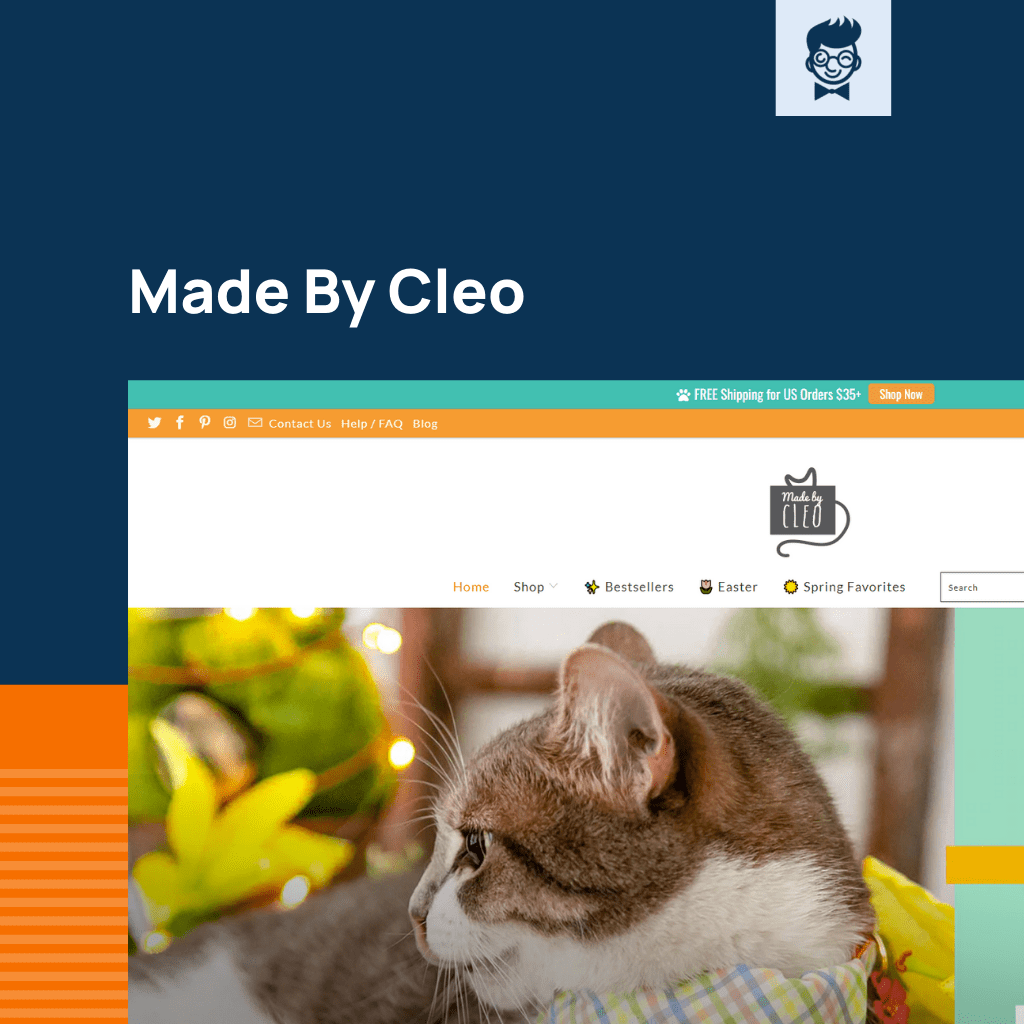 Shopify متجر القطط