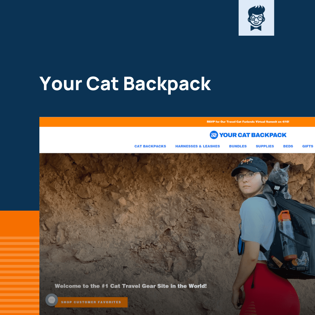 Shopify متجر القطط