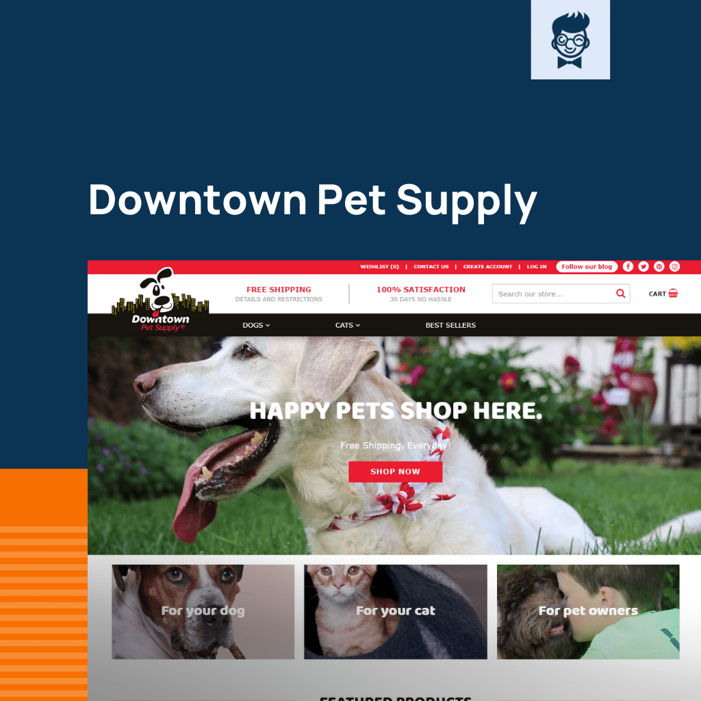 Shopify متجر الحيوانات الأليفة القط