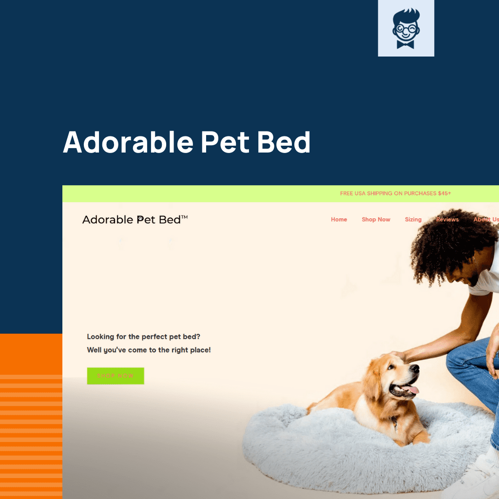 Shopify متجر الحيوانات الأليفة القط