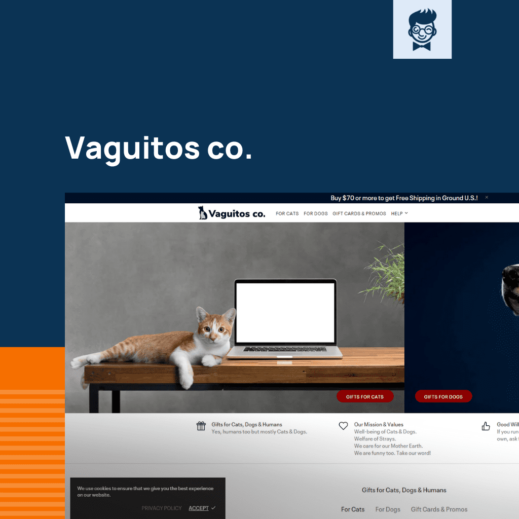 Shopify متجر القطط