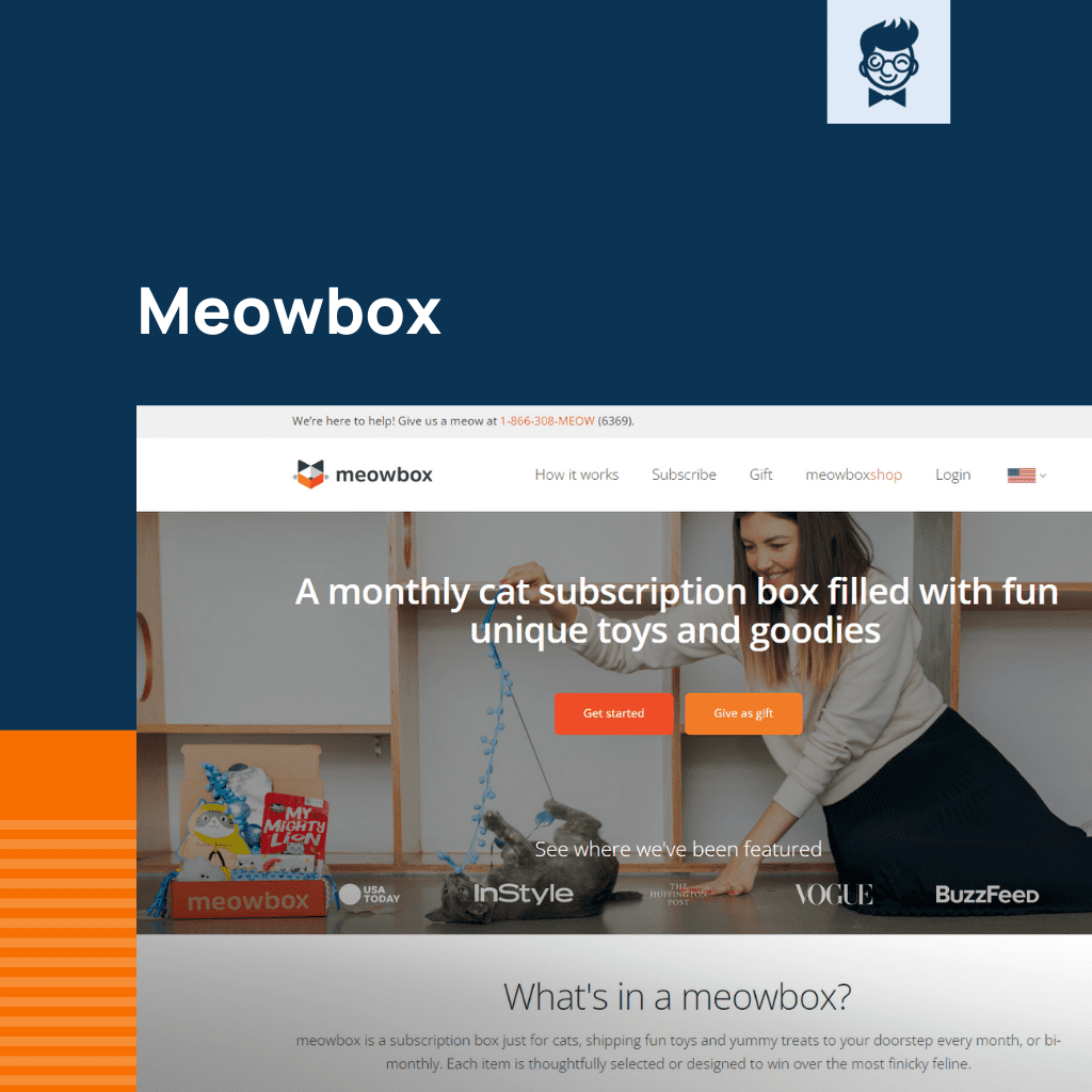 Shopify لوازم القطط عبر الإنترنت