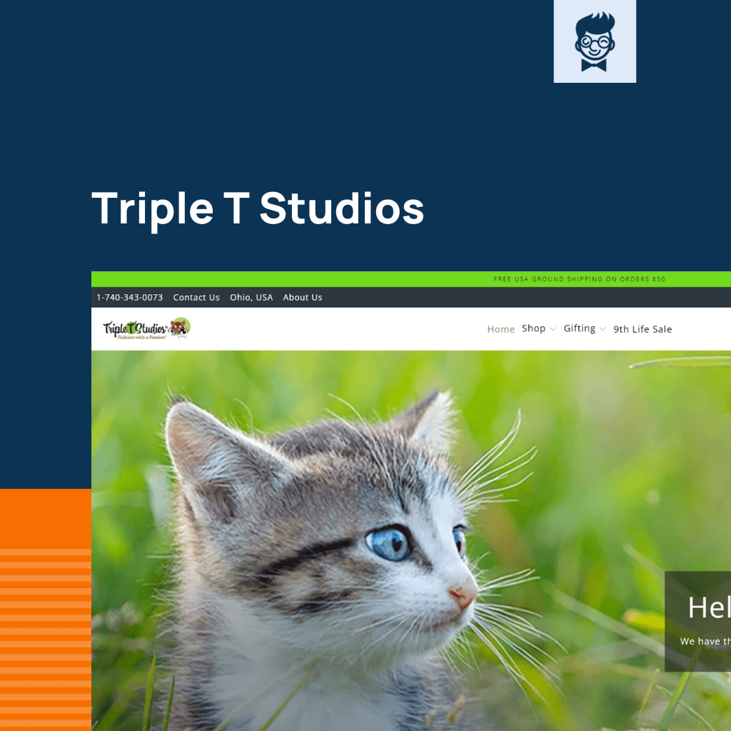 Shopify لوازم القطط عبر الإنترنت