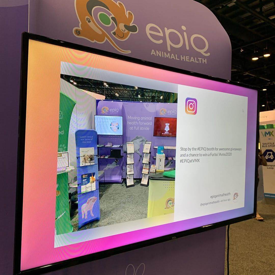 agregator konten instagram