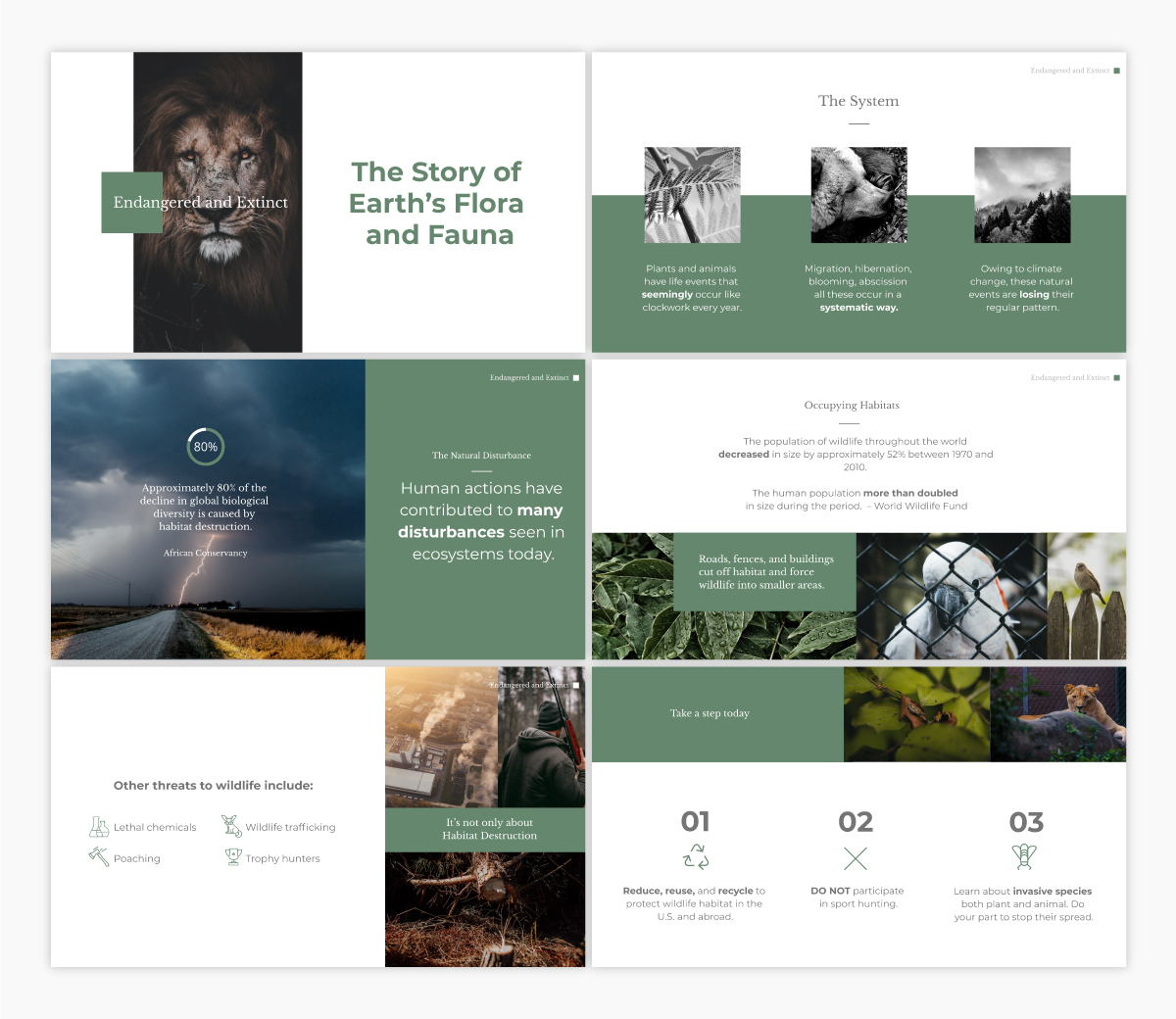 Vismeでカスタマイズできる野生生物保護基調講演テンプレート。