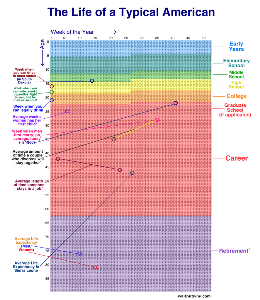 Посмотрите, как типичный американец проводит свои недели.