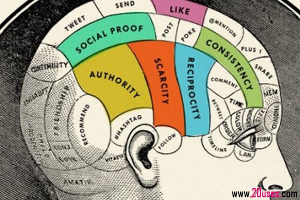 Psicologia de vendas 4 - prova social e consistência