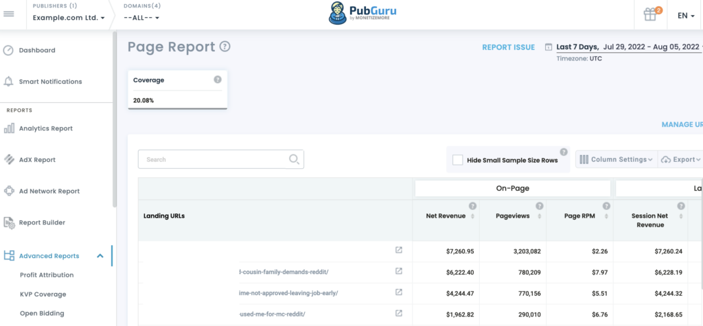PubGuru-Page-Report