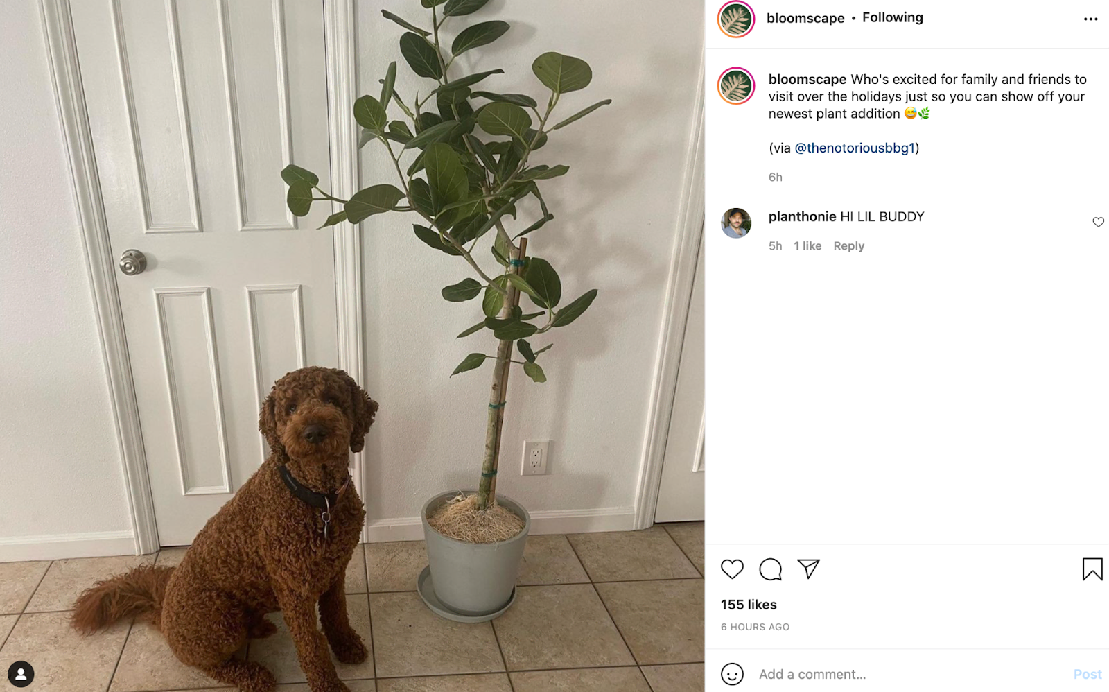 Ejemplo de publicación de CGU