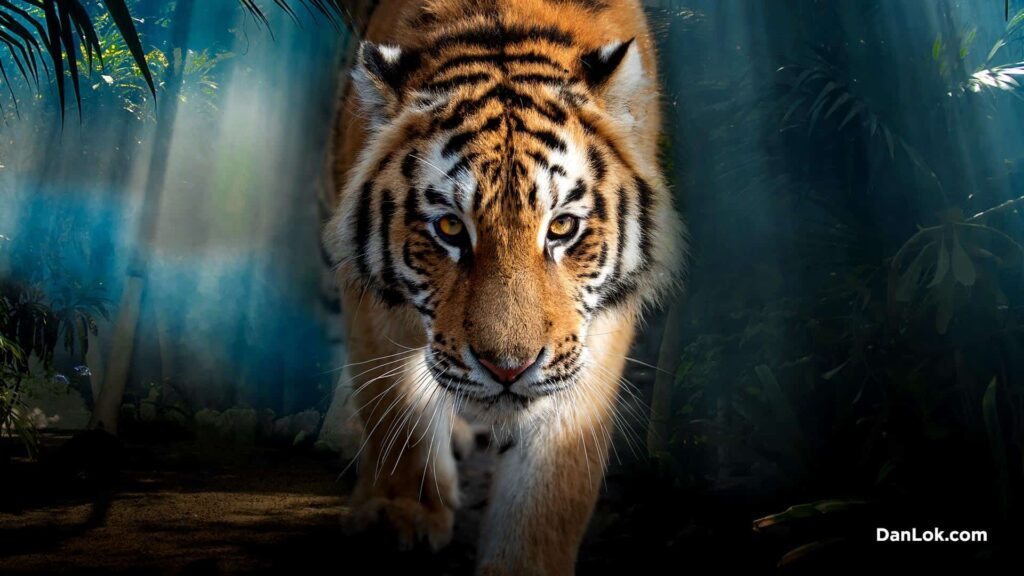 jak wyjść ze złego partnerstwa biznesowego