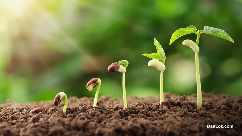 The-Blueprint-To-Building-A-Sustainable-7-Figure-Online-Business-Graphic-01