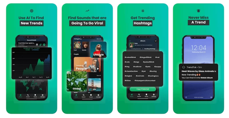 Créations publicitaires TikTok