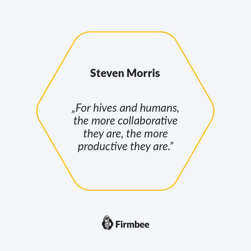 生産性と成功のための 9 つのヒント。ミツバチから何を学べるでしょうか。 2 tips for productivity