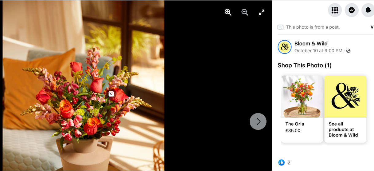 Bloom & Wild 成為增長第二快的初創公司的營銷策略 bloom and wild marketing 05 - Bloom & Wild’s Marketing Strategy to Become The 2nd Fastest-Growing Startup