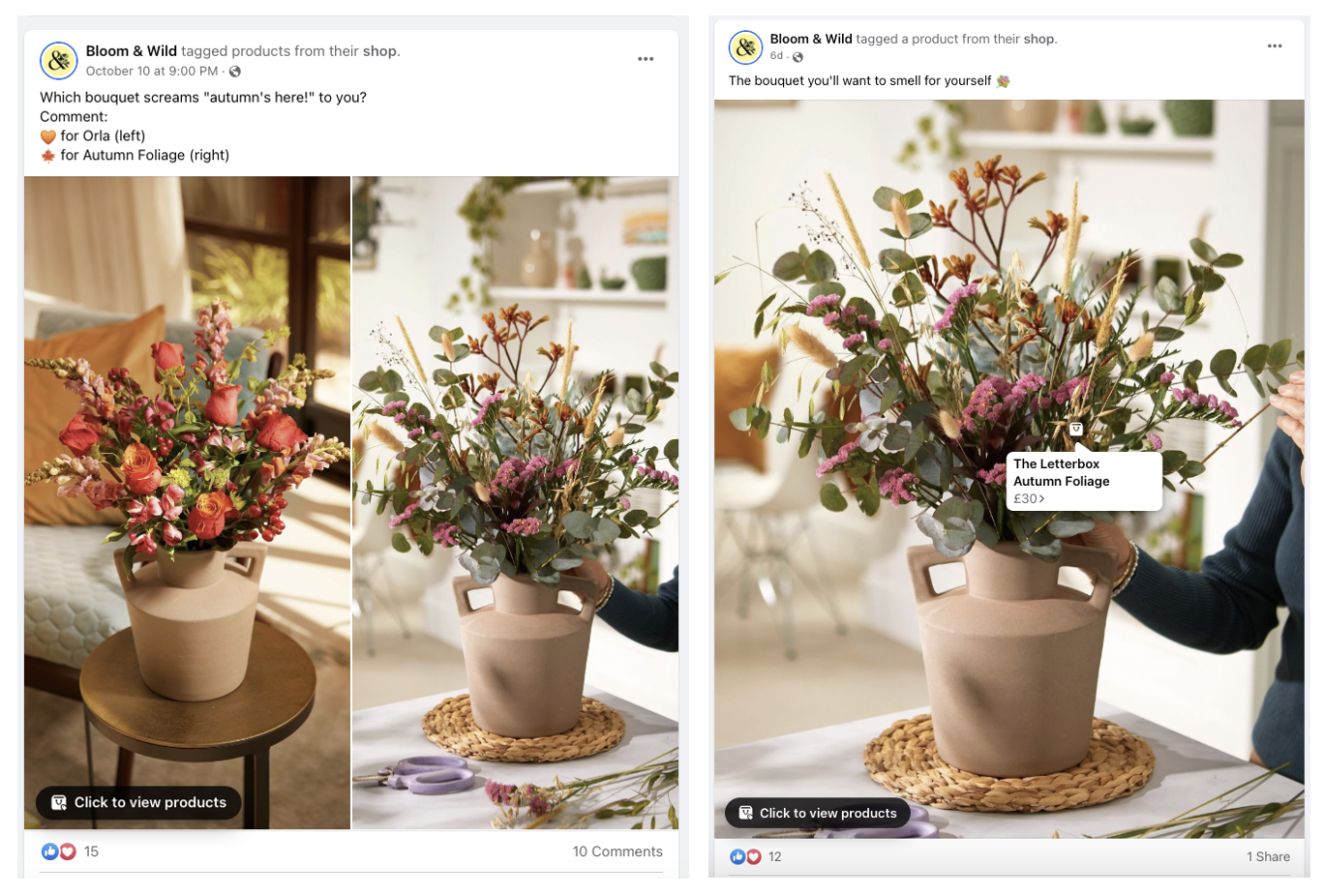Bloom & Wild 成為增長第二快的初創公司的營銷策略 bloom and wild marketing 07 - Bloom & Wild’s Marketing Strategy to Become The 2nd Fastest-Growing Startup
