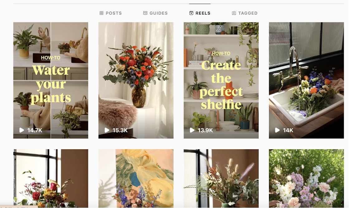 Bloom & Wild 成為增長第二快的初創公司的營銷策略 bloom and wild marketing 06 - Bloom & Wild’s Marketing Strategy to Become The 2nd Fastest-Growing Startup