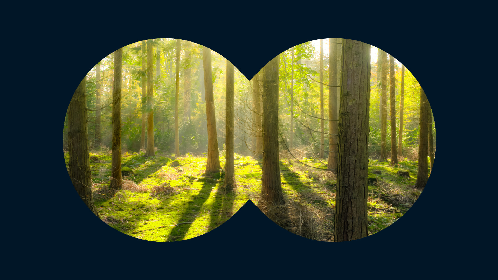 持続可能な e コマース