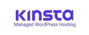 Kinsta 托管徽标 Kinsta Hosting Logo