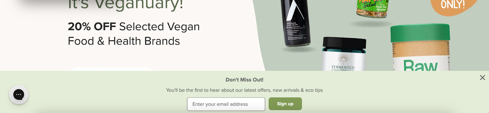 flora and fauna website 02 - How Flora & Fauna Became Australia&rsquo;s Largest Eco-Friendly Retailer