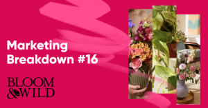 bloomwild marketing breakdown banner 300x157 - How Flora & Fauna Became Australia&rsquo;s Largest Eco-Friendly Retailer