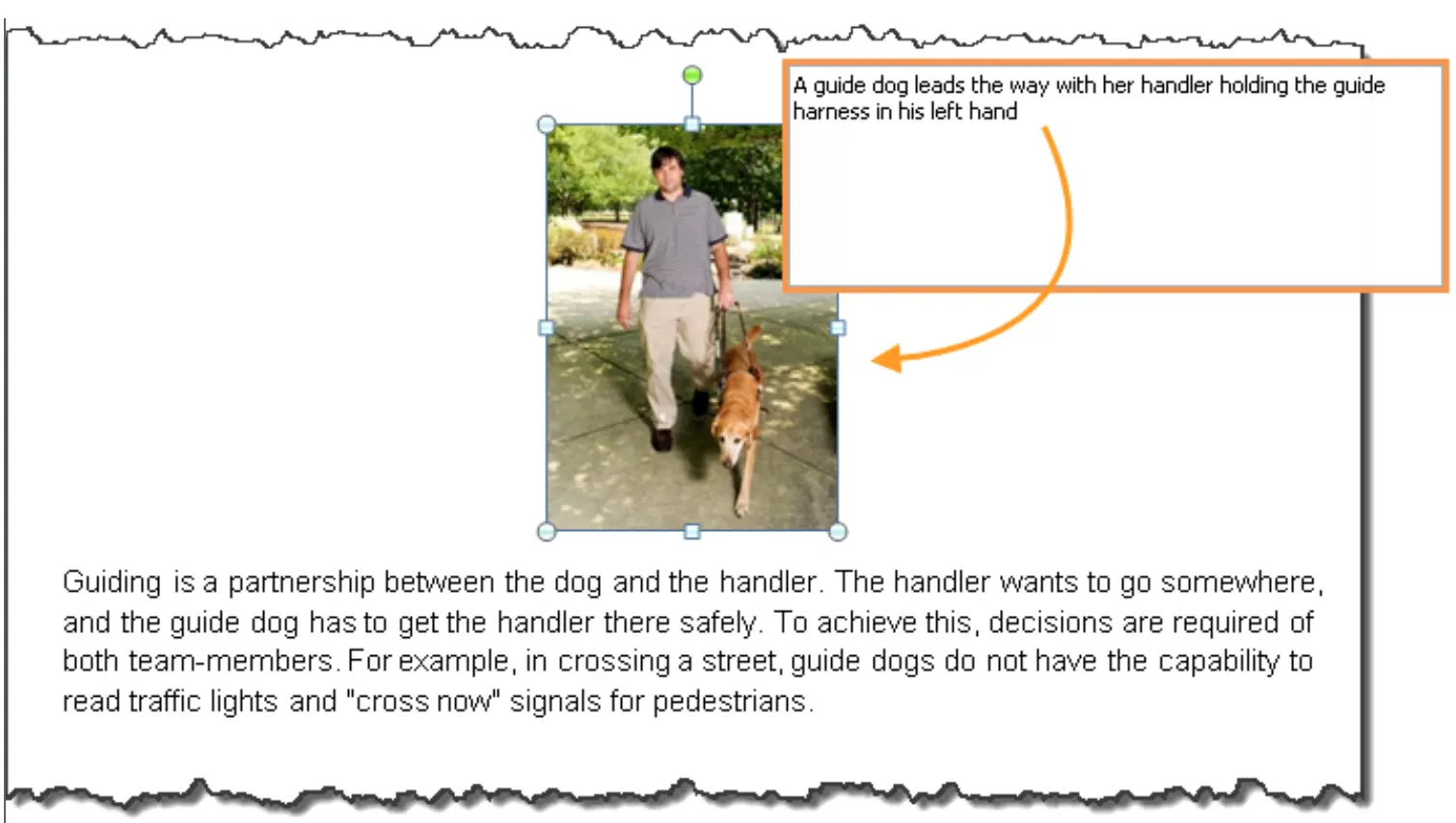 Ejemplo de texto alternativo