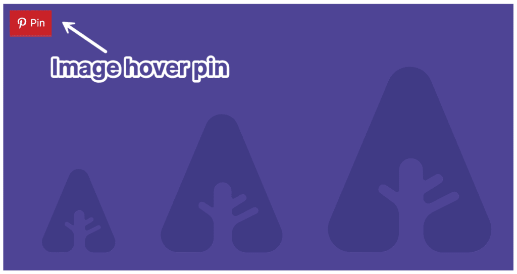 Novashare'de Pinterest resmi vurgulu pimleri