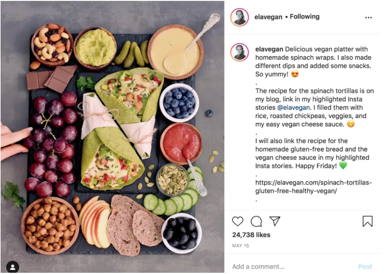 @ELAVEGAN Instagram