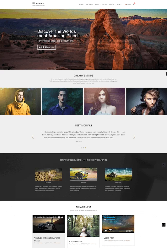 아트 포트폴리오