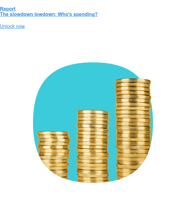 報告 經濟放緩內幕：誰在支出？現在解鎖