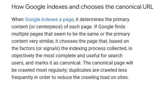 Screenshot di Serach Central sulla canonicalizzazione