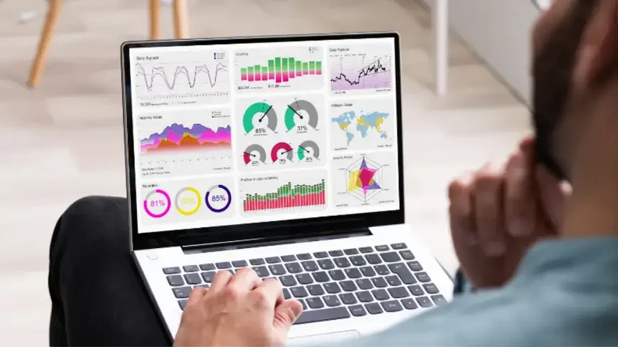 man-look-at-charts-on-laptop