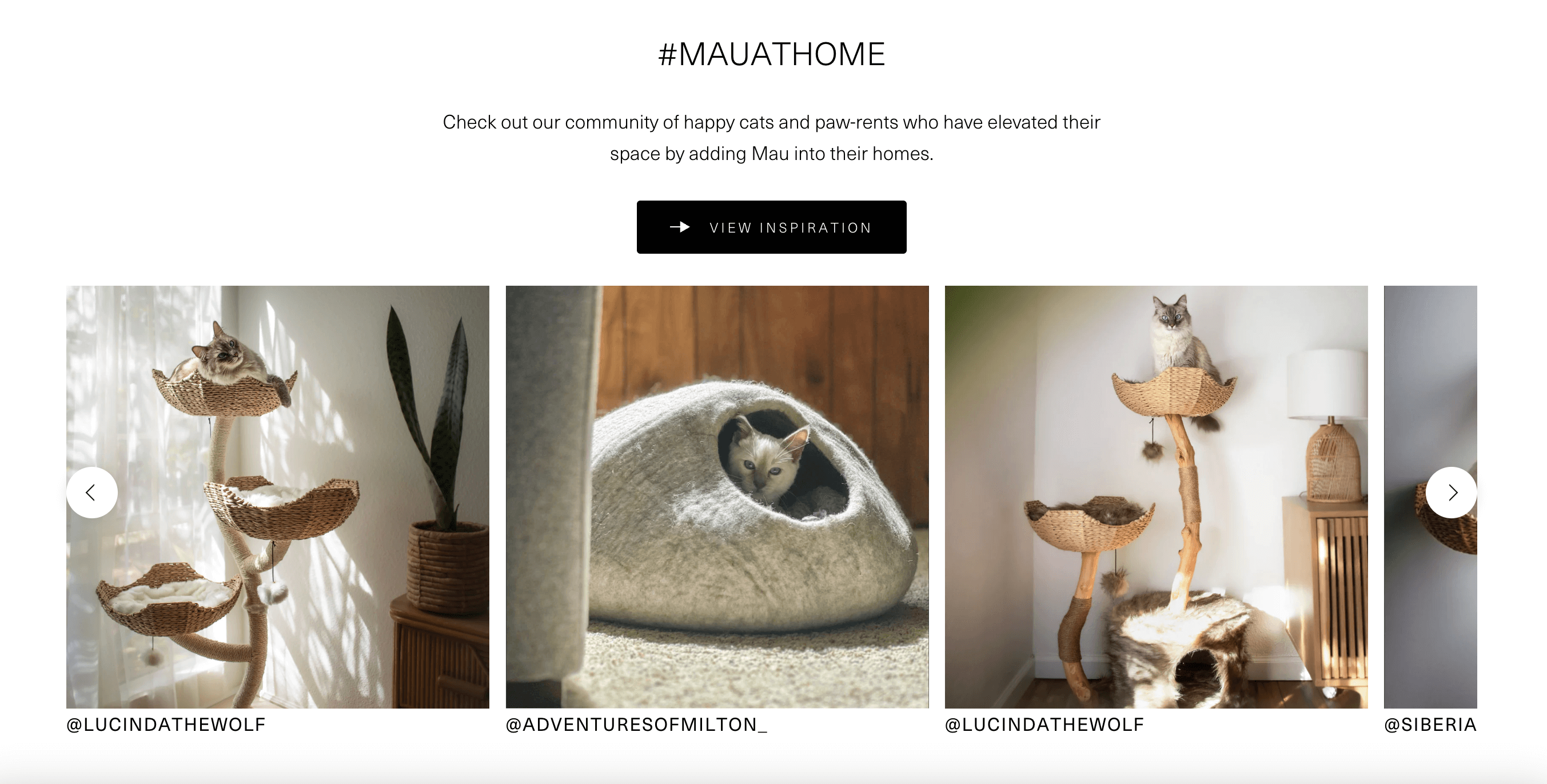 Mau 主页上名为“Mau At Home”的主题标签的屏幕截图,显示了顾客在 Instagram 上发布的与他们的宠物使用该产品的帖子。