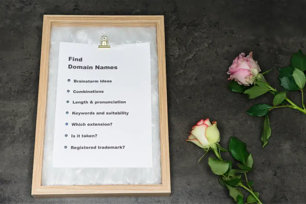 Domänennamen finden