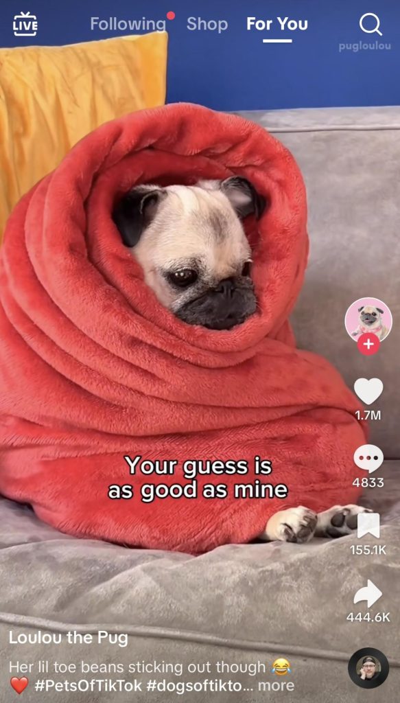 ejemplo de video de formato corto