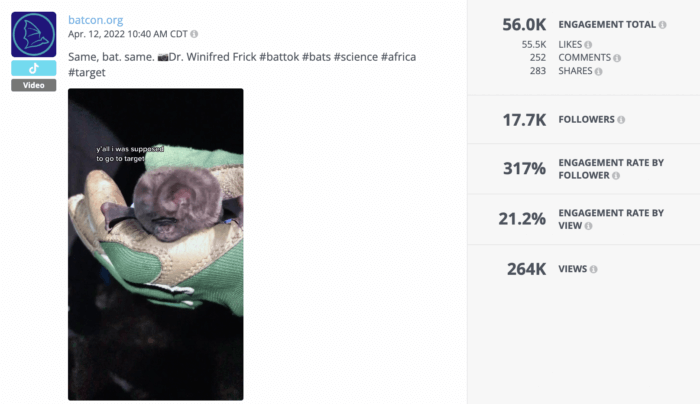 Dank unterhaltsamer Videos wie diesem ist Bat Conservation International eine Top-Nonprofit-Organisation auf TikTok. Das Video zeigt eine Hand, die eine Fledermaus hält, mit Ton, der den Eindruck erweckt, als würde die Fledermaus sprechen.