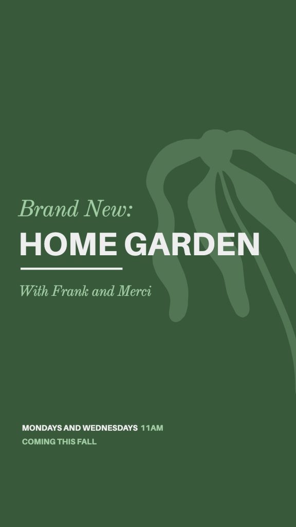 histoire Instagram minimaliste